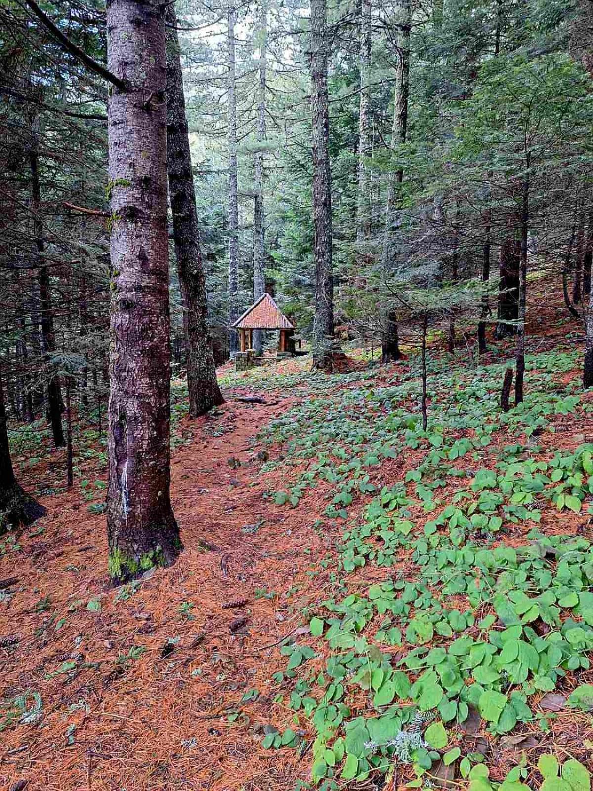 Hotel Molika Magarevo Buitenkant foto